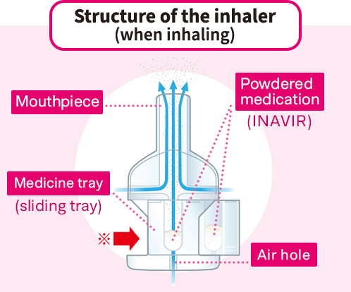 Structure of the inhaler (when inhaling). TOP:mouthpiece. MIDDLE:Medicine tray(sliding tray). Powdered medication(INAVIR). BOTTOM:Air hole.